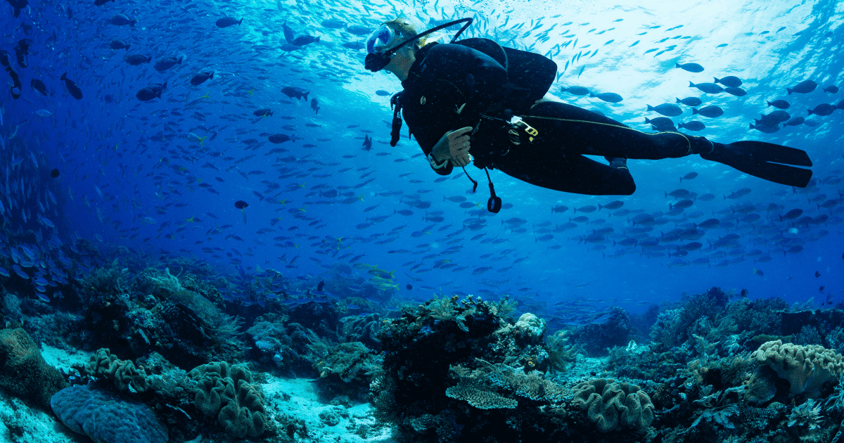 Man scuba diving with fish and coral around him.
