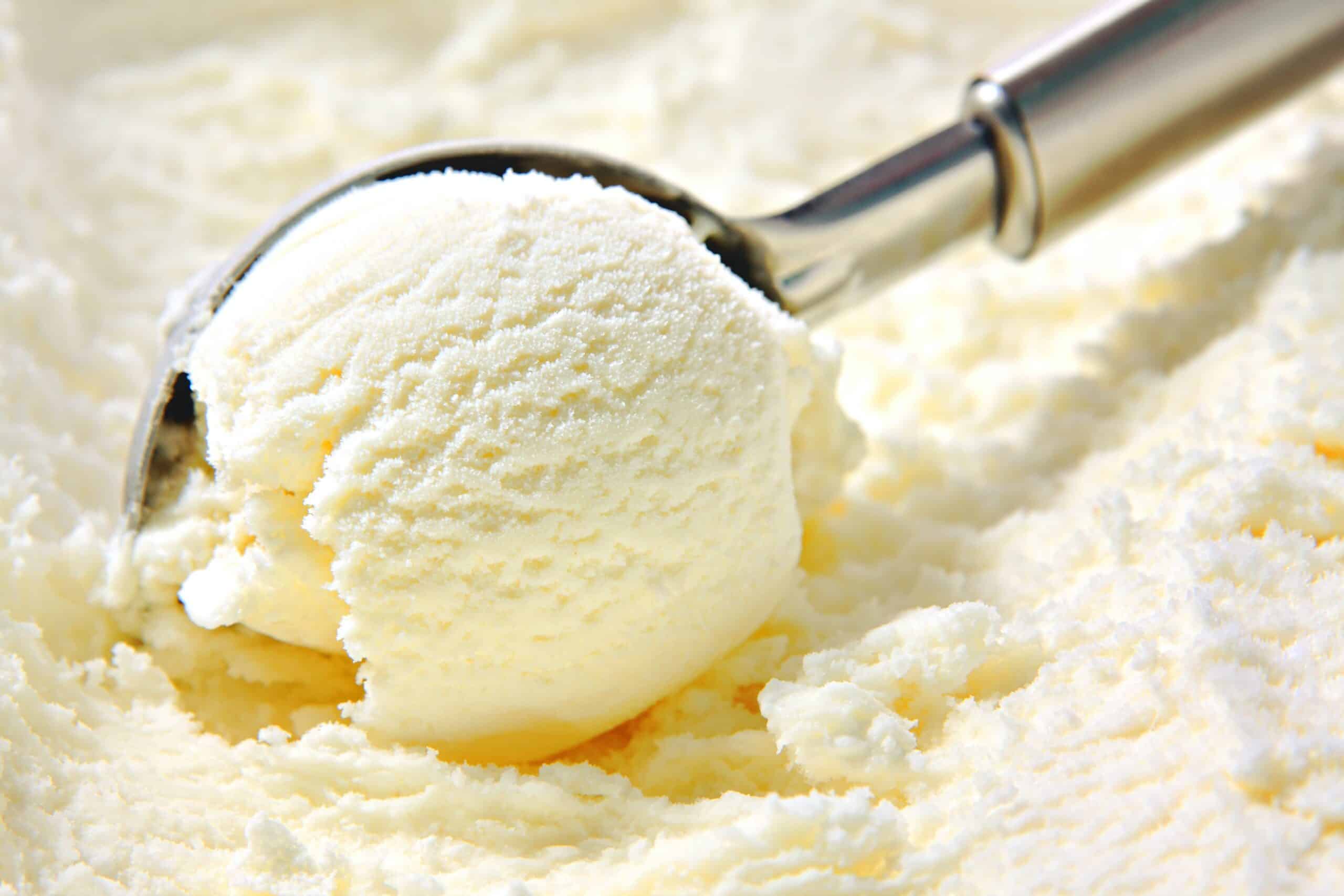 A close up of vanilla ice cream being scooped by an ice cream scooper. 
