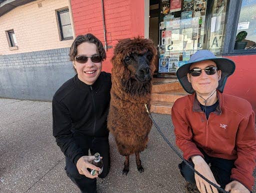 Iden and Aren Elliott share a moment with an alpaca in Tasmania, Australia.