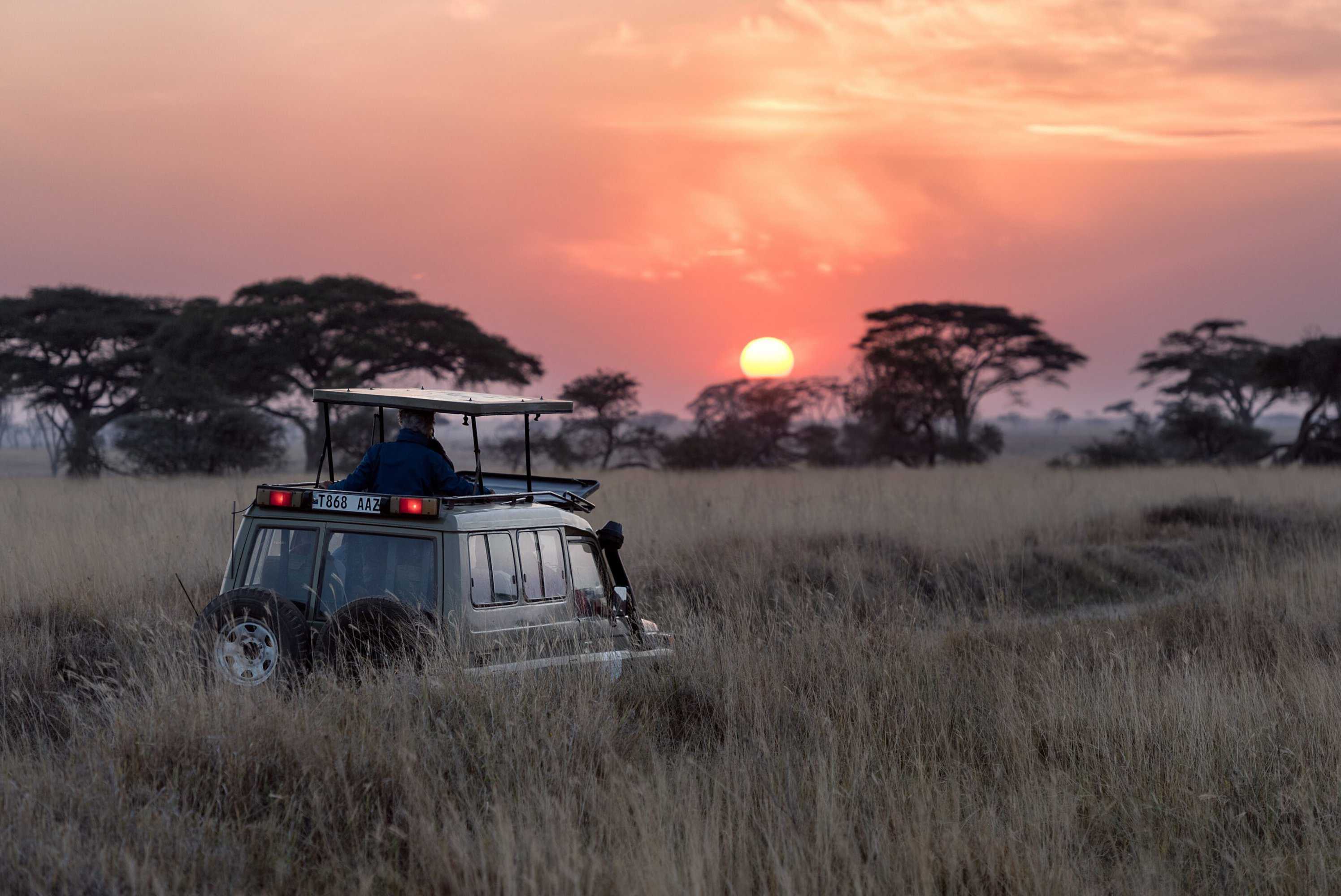 Someone in a jeep doing a safari tour while the sun is setting.